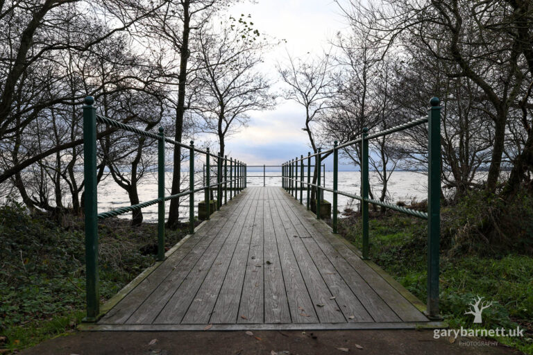 Antrim Lough Shore Park, December 2024